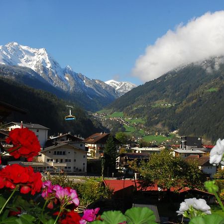 Haus Tasser Mayrhofen Ngoại thất bức ảnh