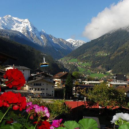 Haus Tasser Mayrhofen Ngoại thất bức ảnh